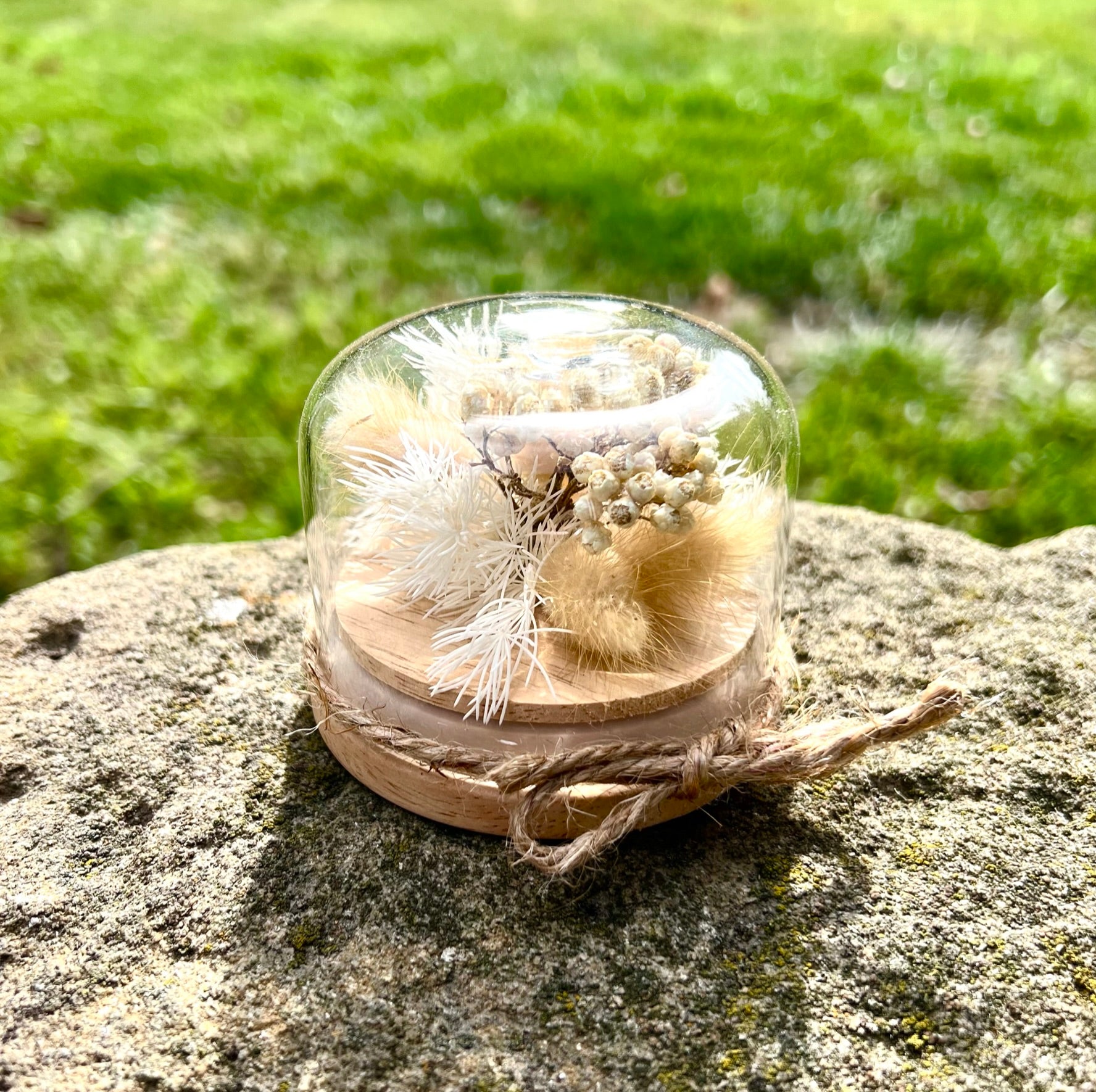 Dried Flower Dome